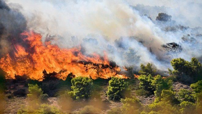Σε ύφεση η φωτιά στην Κερατέα, αλλά με ολονύχτια επαγρύπνηση – Πού θα μείνουν όσοι εγκατέλειψαν τα σπίτια τους