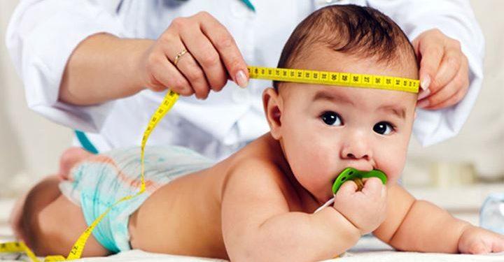 Όσο πιο γρήγορα μεγαλώνουν τόσο πιο έξυπνα είναι