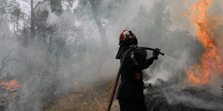 Φωτιά στη Μονεμβασιά – Ισχυρές πυροσβεστικές δυνάμεις στην περιοχή