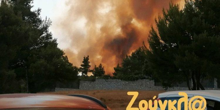 Συνελήφθη 43χρονος για εμπρησμό στο Καπανδρίτι