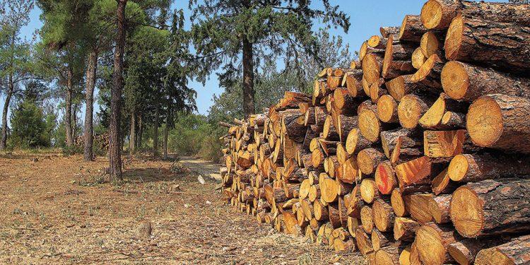 Έκθεση του WWF για προφύλαξη των δασών