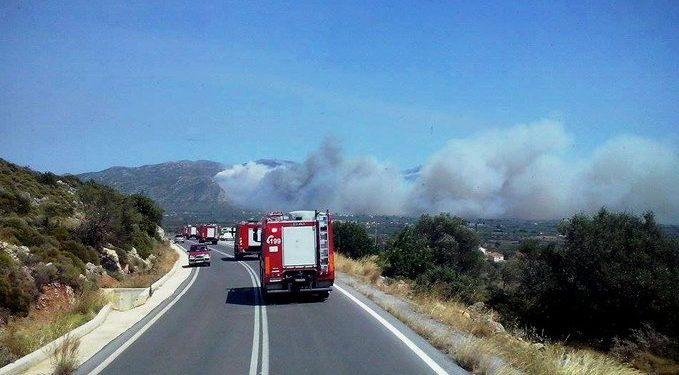 Λαύριο – Φωτιά στο Μαρκάτι – Επιχειρούν επίγειες και εναέριες δυνάμεις