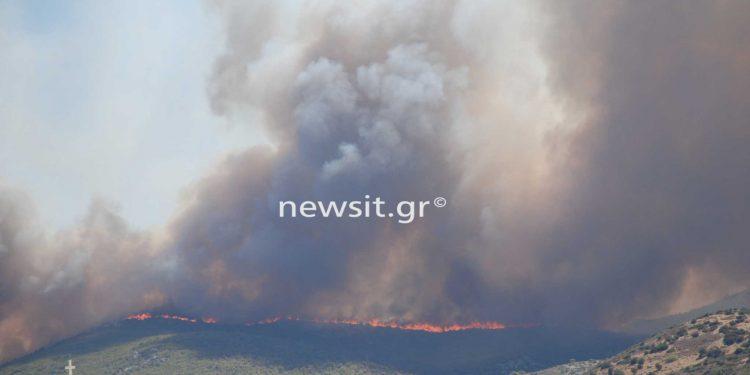 Φωτιά στην Κερατέα: Εκκενώνεται ο οικισμός Μαρκάτι – Μήνυμα από το 112