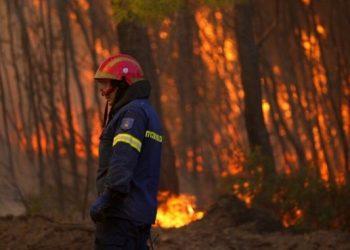 Φωτιά στην Αταλάντη: Ομολόγησε ο 14χρονος για τις φωτιές στο Θεολόγο