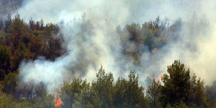 Φωτιά στα Βίλια: Χωρίς ενιαίο μέτωπο αλλά με πολλές ενεργές εστίες – Μεγάλη κινητοποίηση εθελοντών και κατοίκων
