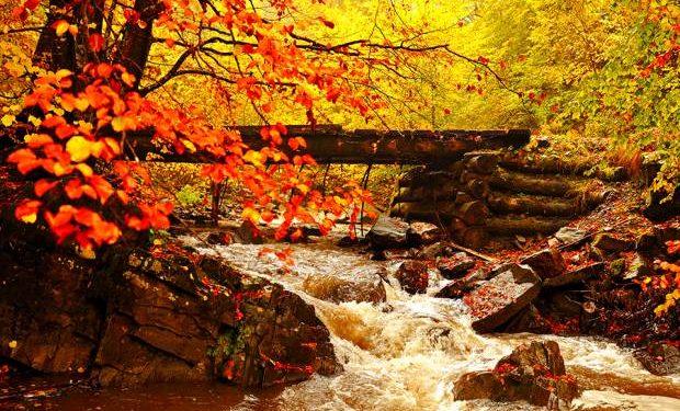 Τι λένε τα άστρα για τον Οκτώβριο 2021;