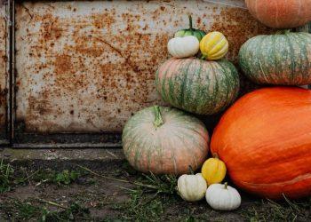Τα ζώδια σήμερα: 5 Οκτωβρίου