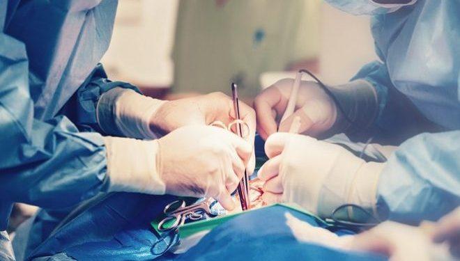 Η πρώτη επιτυχημένη μεταμόσχευση οργάνου από γουρούνι σε άνθρωπο