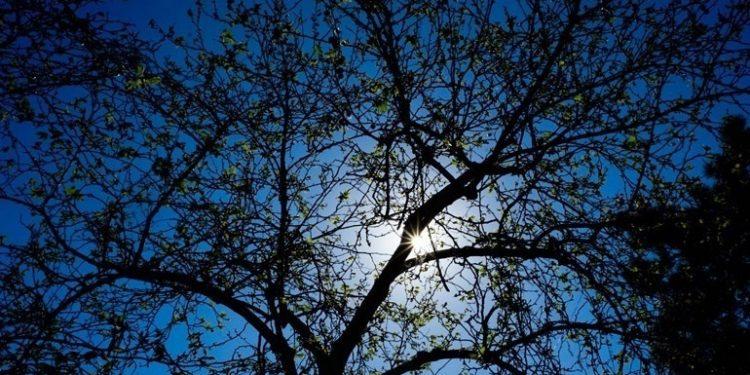 Ο καιρός σήμερα