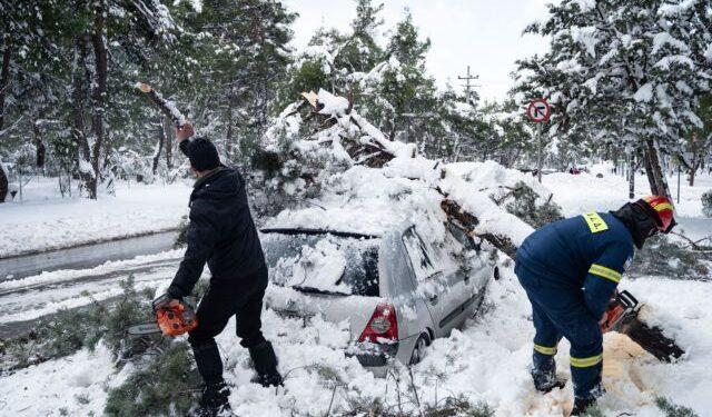 Δήμος Αθηναίων: Αποζημιώνει τους ιδιοκτήτες οχημάτων που υπέστησαν ζημιές από πτώσεις δέντρων.