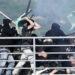 Οικονόμου: Αυστηροποιείται το θεσμικό πλαίσιο για τις λέσχες φιλάθλων – Έρχεται νομοσχέδιο για την οπαδική βία.
