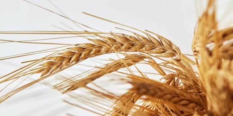 Θα πούμε το ψωμί… ψωμάκι: Ποια προϊόντα πήραν την… ανηφόρα λόγω των εξελίξεων στο ουκρανικό μέτωπο.