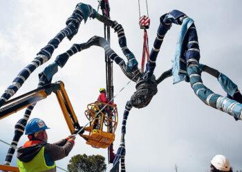 Μια διάσημη αράχνη στο πάρκο «Σταύρος Νιάρχος».