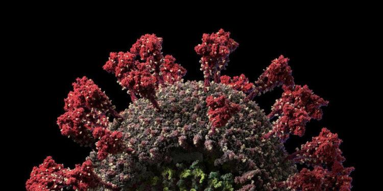 Νέα βρετανική μελέτη: Σοβαρά προβλήματα για τους ασθενείς με με μακρόχρονη Covid.