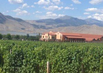 Από το Αμύνταιο στην παγκόσμια αγορά κρασιού.