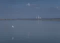 Χειμαδίτιδα: Η άγνωστη λίμνη της Φλώρινας με τον καταπληκτικό υδροβιότοπο.