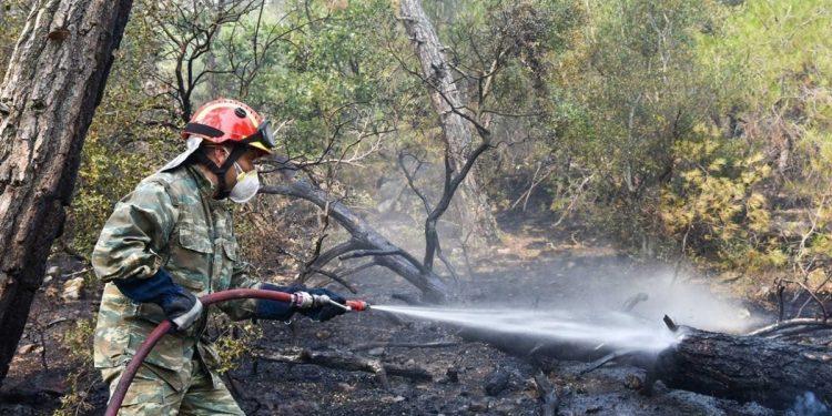 Μαίνεται η φωτιά στον Έβρο: Στάχτη 15.000 στρέμματα δάσους του Εθνικού Πάρκου στη Δαδιά