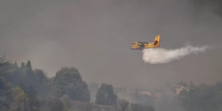 Φωτιά τώρα στην Κάρυστο – Συναγερμός στην πυροσβεστική