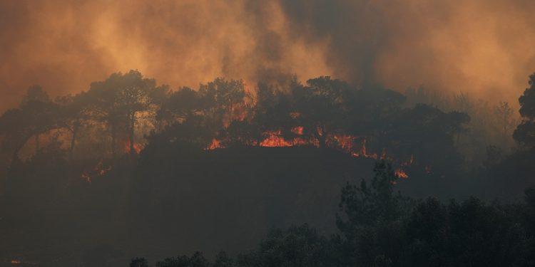 Δύσκολη νύχτα σε Ηλεία, Δαδιά και Λέσβο – «Επικίνδυνη» και η Δευτέρα
