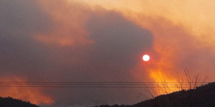 Φωτιά: Δεύτερη νύχτα αγωνίας στον Έβρο, καίγεται το δάσος της Δαδιάς