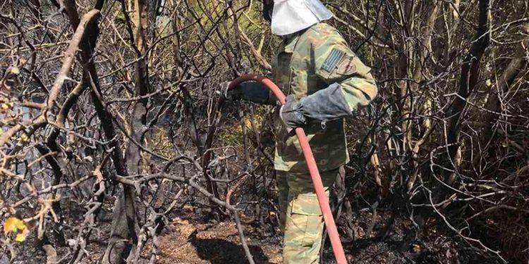 Ποιος προσβάλει τους πυροσβέστες; Οι δηλώσεις του πρωθυπουργού που προσέλαβε αστυνομικούς και για τις φωτιές