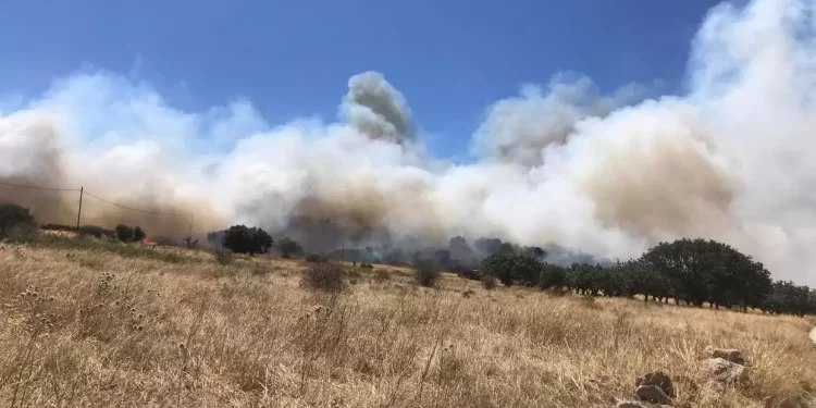 Πυρκαγιά και στην Αρκαδία: Σε δύσβατη περιοχή κοντά στην Μεγαλόπολη
