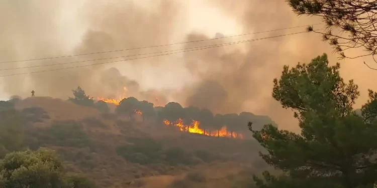 Φωτιά στην Καλλιθέα Πατρών: Το άλλοθι του ηλικιωμενου που συνελήφθη για εμπρησμό