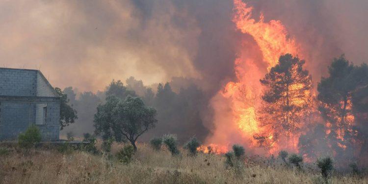 Μάχη για να σωθεί το δάσος της Δαδιάς στον Έβρο – Σε κύματα ξεκίνησαν τα εναέρια μέσα