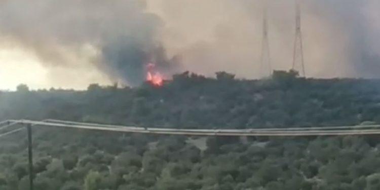 Φωτιά στη Μάνδρα Αττικής: Μεγάλη κινητοποίηση της Πυροσβεστικής