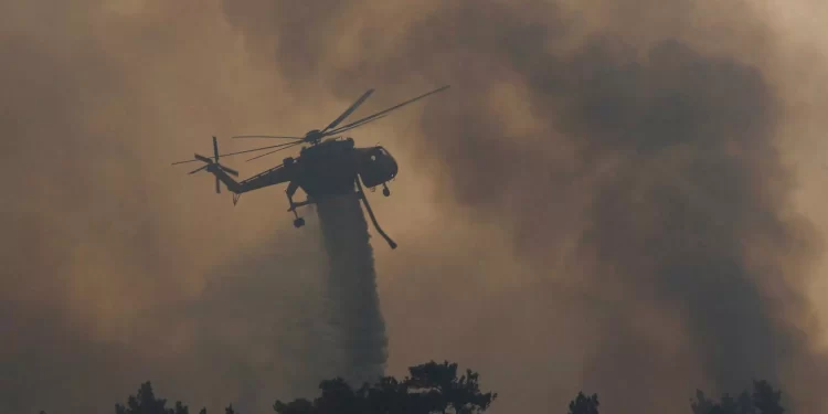 Έβρος: Πέντε προσαγωγές για εμπρησμό για τη φωτιά στην περιοχή Λάβαρα