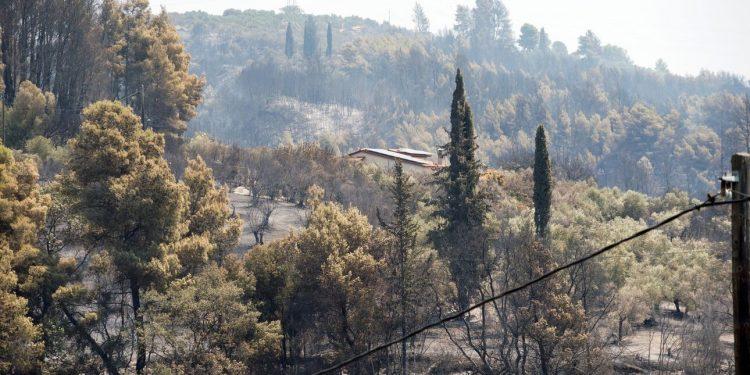 Σε πύρινο κλοιό η χώρα: Πώς διαμορφώνονται τα πύρινα μέτωπα σε Έβρο, Μυτιλήνη και Ηλεία