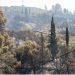 Σε πύρινο κλοιό η χώρα: Πώς διαμορφώνονται τα πύρινα μέτωπα σε Έβρο, Μυτιλήνη και Ηλεία