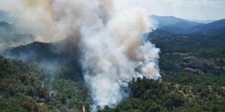 Αμυράς: Πάρα πολύ δύσκολη η έρπουσα φωτιά στη Δαδιά – Δεν έχει πειραχτεί το 30% της βλάστησης στο μέτωπο