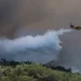 Φωτιά στη Λέσβο: Μεγάλη αναζωπύρωση, εκκενώνεται ξανά η Βρίσα