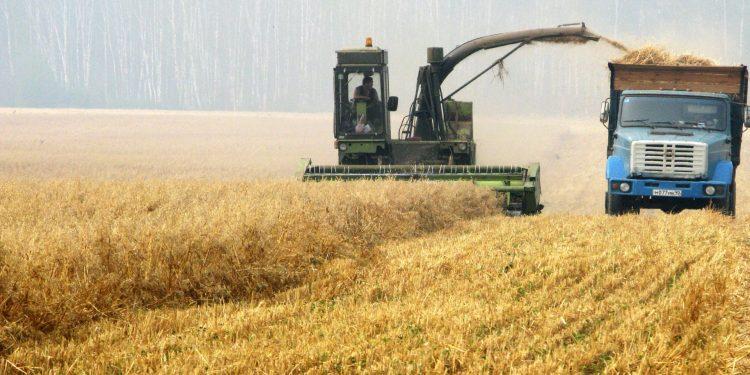 Οριστικό: Η Ρωσία θα εξάγει σιτηρά μόνο σε φιλικές χώρες και με πληρωμή μόνο σε ρούβλια