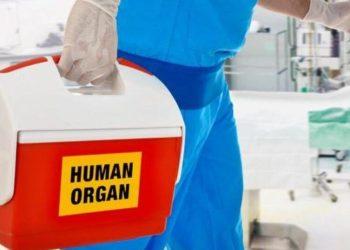 Δωρεά οργάνων: