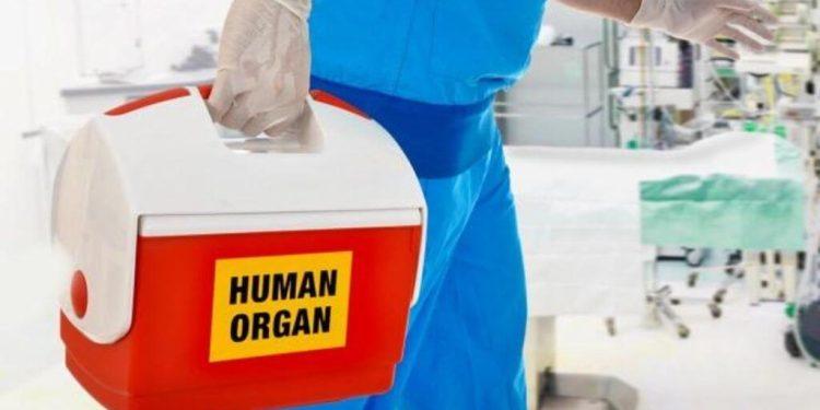 Δωρεά οργάνων: