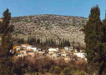 Κολοπετινίτσα