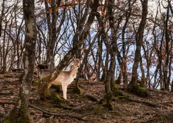 Επίσκεψη στο πρώτο περιβαλλοντικό πάρκο της Ελλάδας