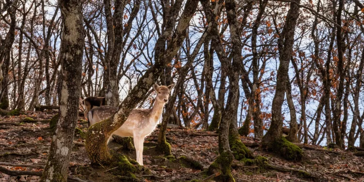 Επίσκεψη στο πρώτο περιβαλλοντικό πάρκο της Ελλάδας