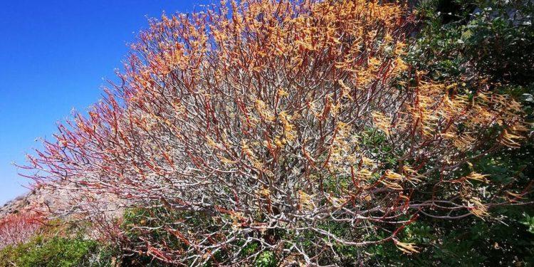 Καιρός σήμερα: Έως 19 βαθμούς η θερμοκρασία – Η πρόγνωση για Αθήνα και Θεσσαλονίκη