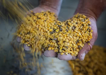 Oι τοπικές γεύσεις της Σαντορίνης