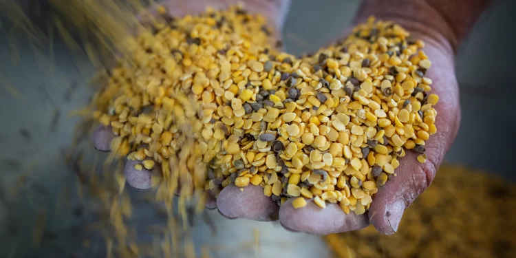Oι τοπικές γεύσεις της Σαντορίνης