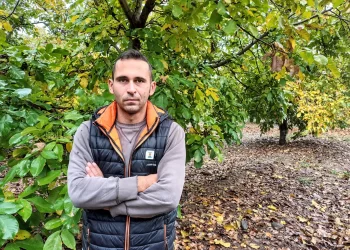 Από την πληροφορική στη σύγχρονη καλλιέργεια καρυδιών -Η ιστορία του Θεμιστοκλή από τις Σέρρες