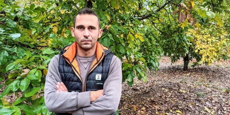 Από την πληροφορική στη σύγχρονη καλλιέργεια καρυδιών -Η ιστορία του Θεμιστοκλή από τις Σέρρες