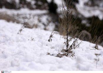 Καιρός σήμερα: Χιόνια με χαμηλές θερμοκρασίες και παγετό – Πού θα το στρώσει