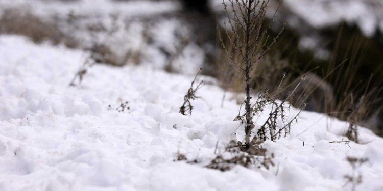 Καιρός σήμερα: Χιόνια με χαμηλές θερμοκρασίες και παγετό – Πού θα το στρώσει