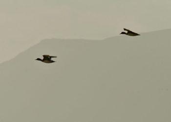 Καιρός: Λασποβροχές την Τρίτη με αφρικανική σκόνη και υψηλές θερμοκρασίες