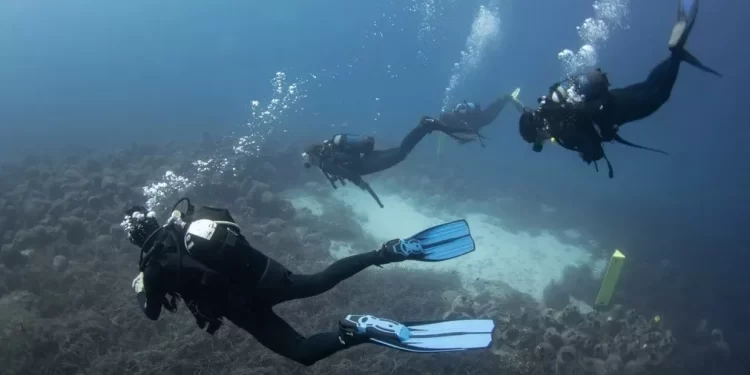 National Geographic: Ποιο ελληνικό καταδυτικό νησί φιγουράρει πρώτο ανάμεσα στα 50 καλύτερα του κόσμου