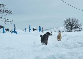 Καιρός: Η αιφνίδια στρατοσφαιρική θέρμανση φέρνει πολικό ψύχος – Η πρόβλεψη Μαρουσάκη